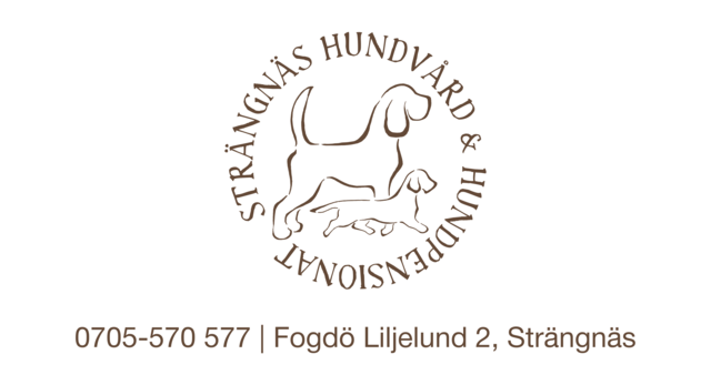 Strängnäs Hundvård