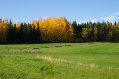 Golf Club Image